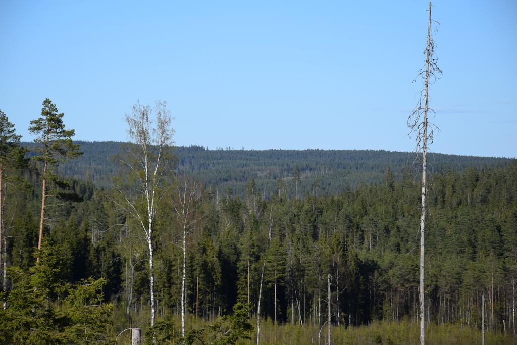 Kronobo Marieholm  Buitenkant foto