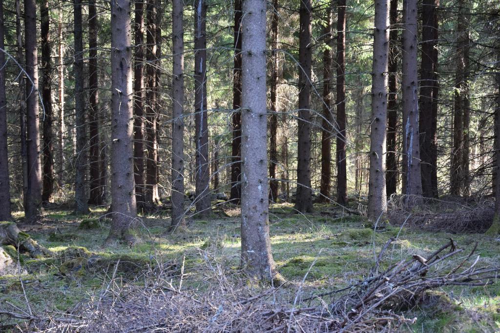 Kronobo Marieholm  Buitenkant foto